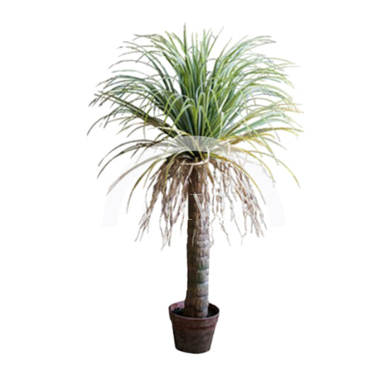 Indoor Artificial Plants - Agave Palm Tree - More Sizes