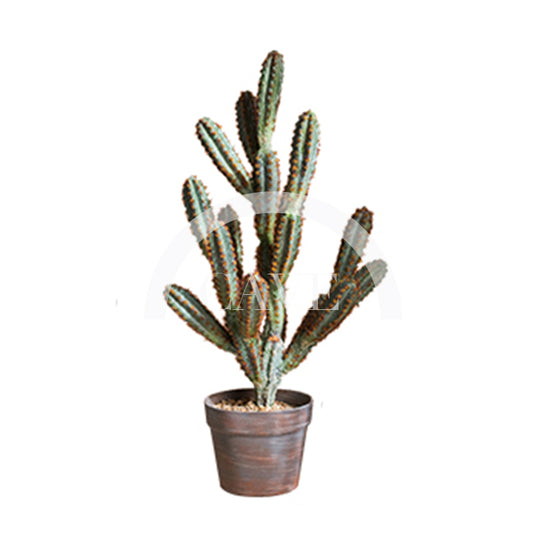 Indoor Artificial Plants - Cactus with Red Accent