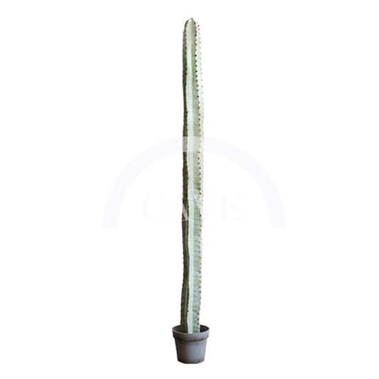 Indoor Artificial Plants - Cereus Cactus - More Sizes