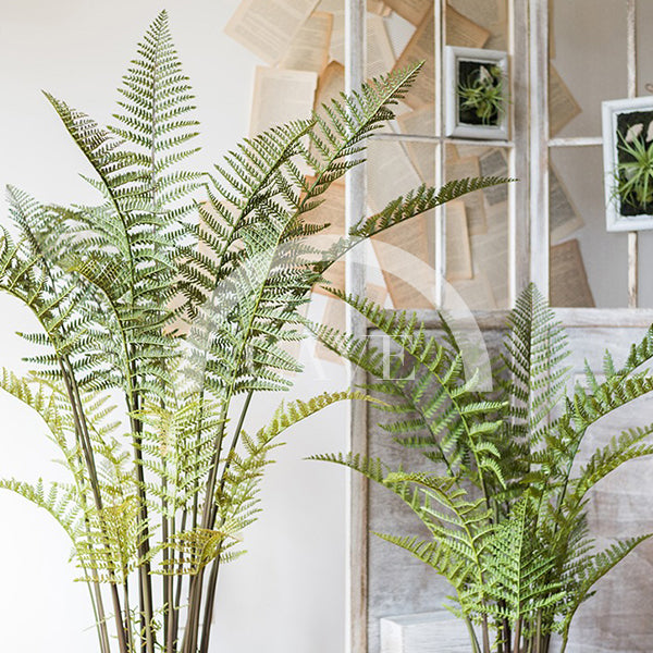 Indoor Artificial Plants - Fern Plant - More Sizes