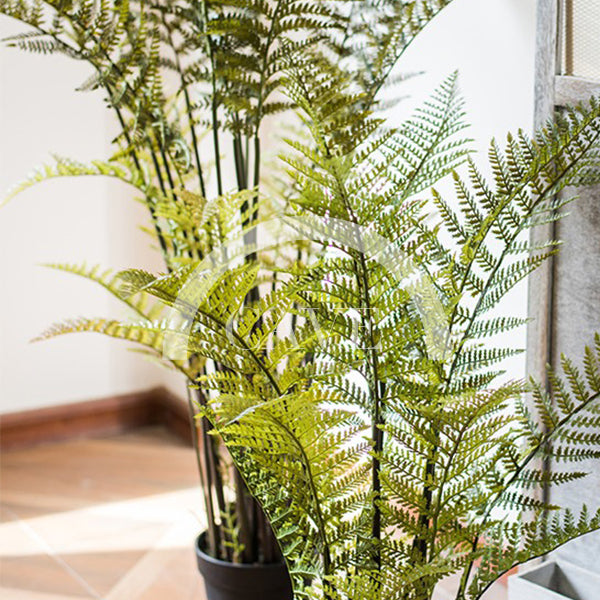 Indoor Artificial Plants - Fern Plant - More Sizes