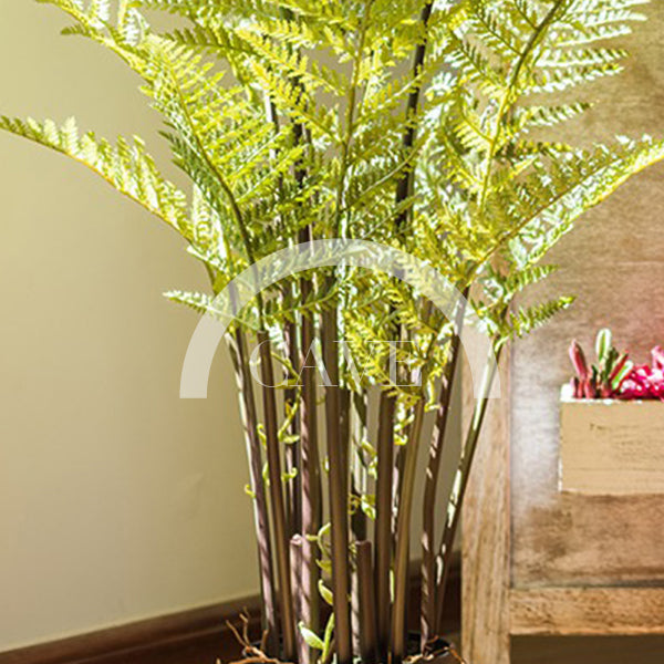 Indoor Artificial Plants - Fern Plant - More Sizes