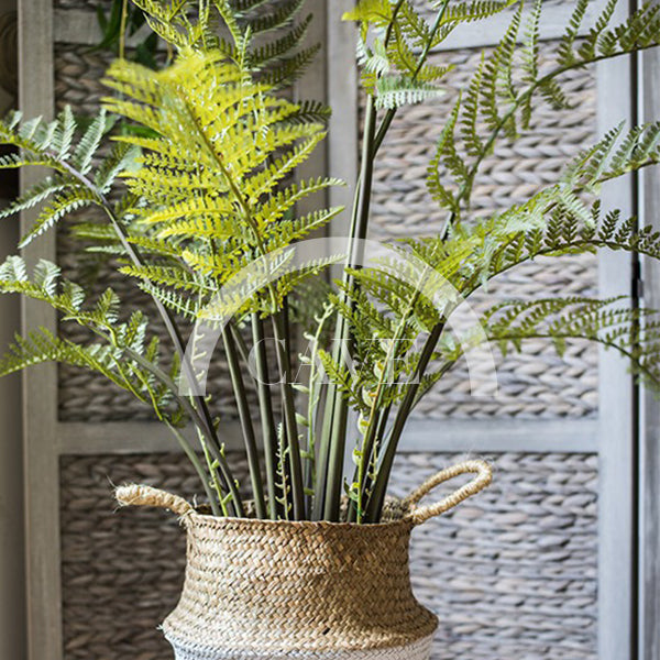 Indoor Artificial Plants - Fern Plant - More Sizes