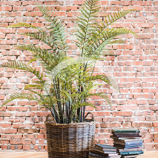 Indoor Artificial Plants - Fern Plant - More Sizes