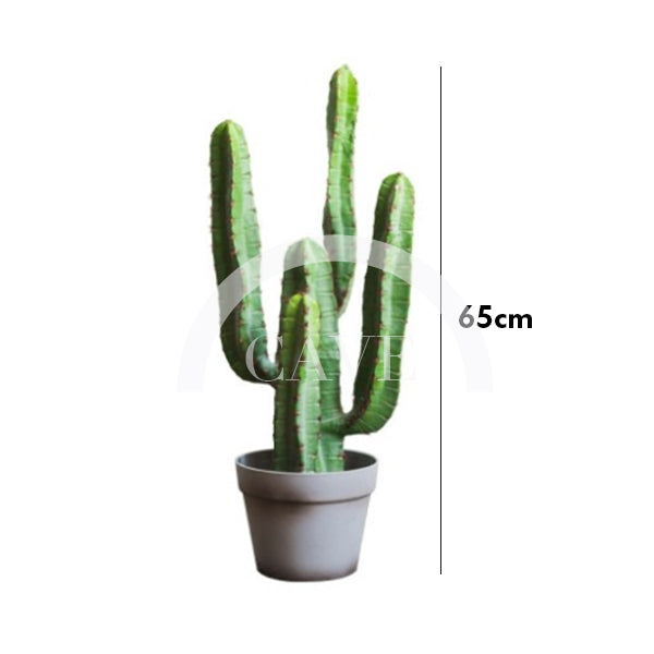 Indoor Artificial Plants - Hylocereus Cactus