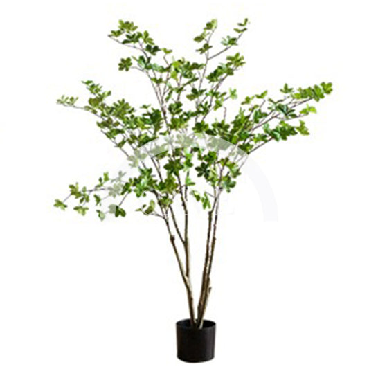 Indoor Artificial Plants - Japanese Tree with Small Leaves - More Sizes