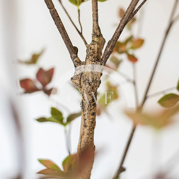 Indoor Artificial Plants - Japanese Tree with Small Leaves - More Sizes