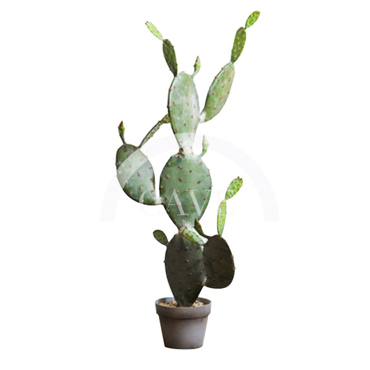 Indoor Artificial Plants - Opuntia Cactus