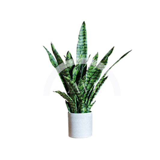 Indoor Artificial Plants - Tiger Tail Orchid with Green Leaves - More Sizes