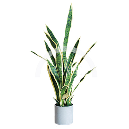 Indoor Artificial Plants - Tiger Tail Orchid with Yellow Leaves - More Sizes