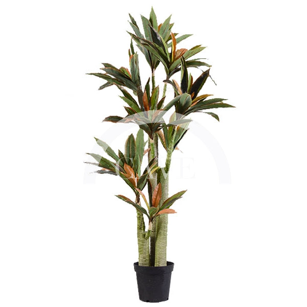 Indoor Artificial Plants - Brazilwood