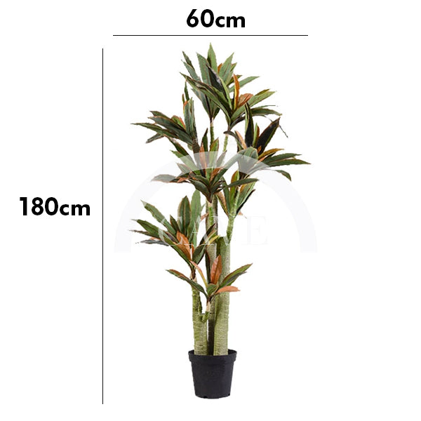 Indoor Artificial Plants - Brazilwood