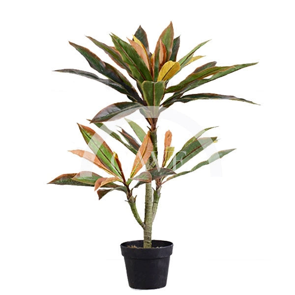 Indoor Artificial Plants - Brazilwood - Small