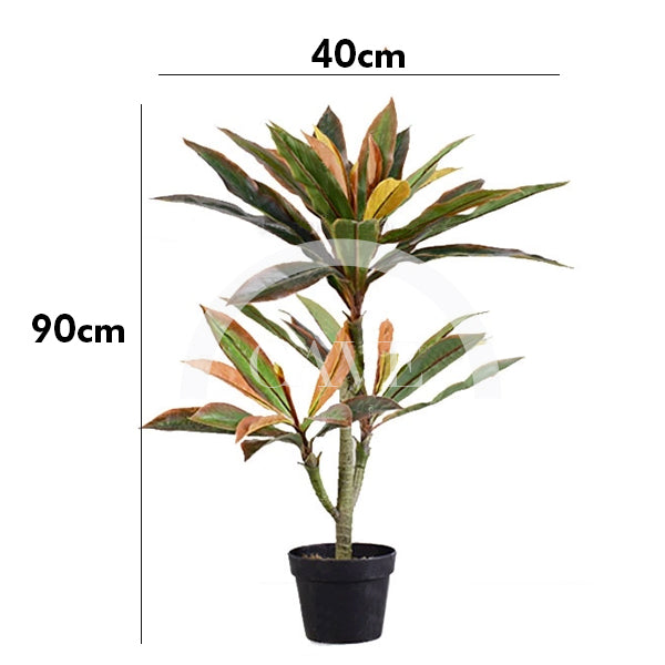 Indoor Artificial Plants - Brazilwood - Small