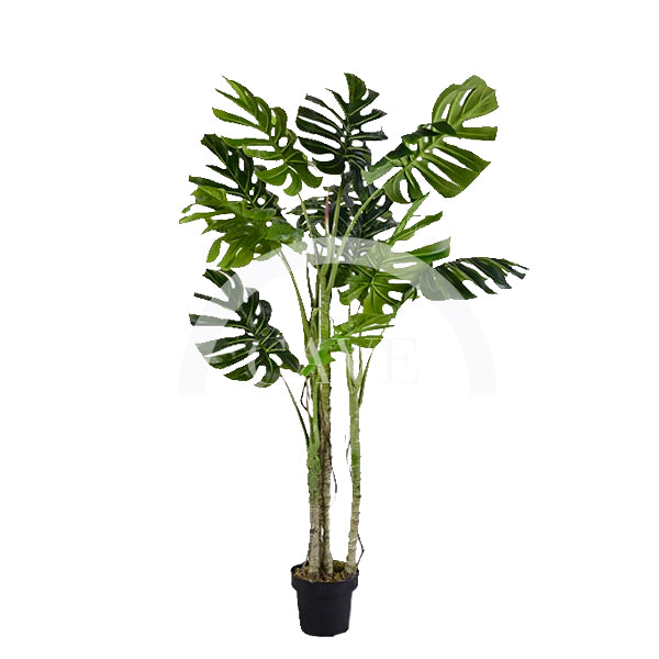 Indoor Artificial Plants - Monstera Swiss Cheese Plant